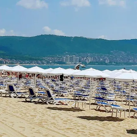 Miramar Palace - Planeta 614 *